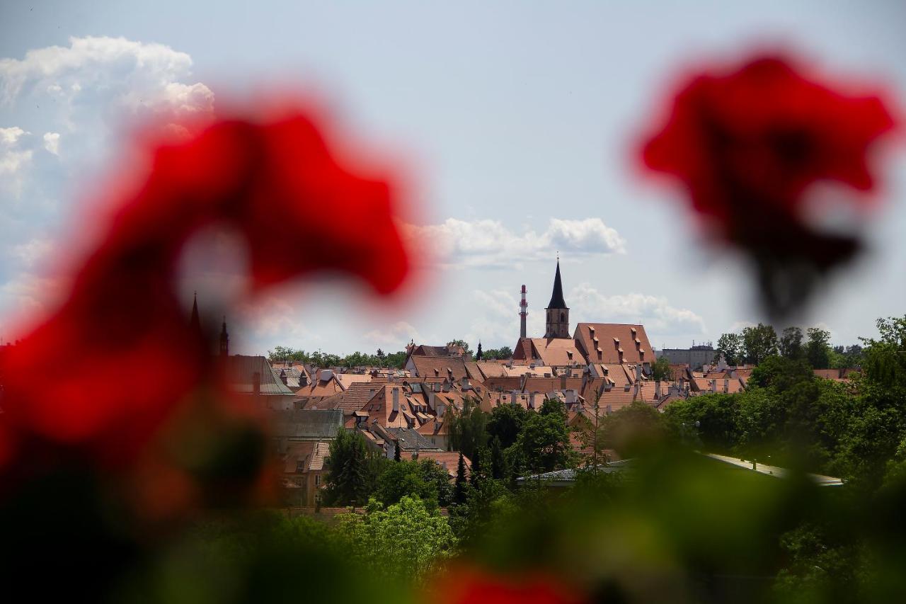 Penzion Na Svahu Хеб Екстер'єр фото